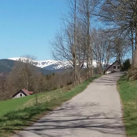 Maison d'hôtes U Andela Strazneho *